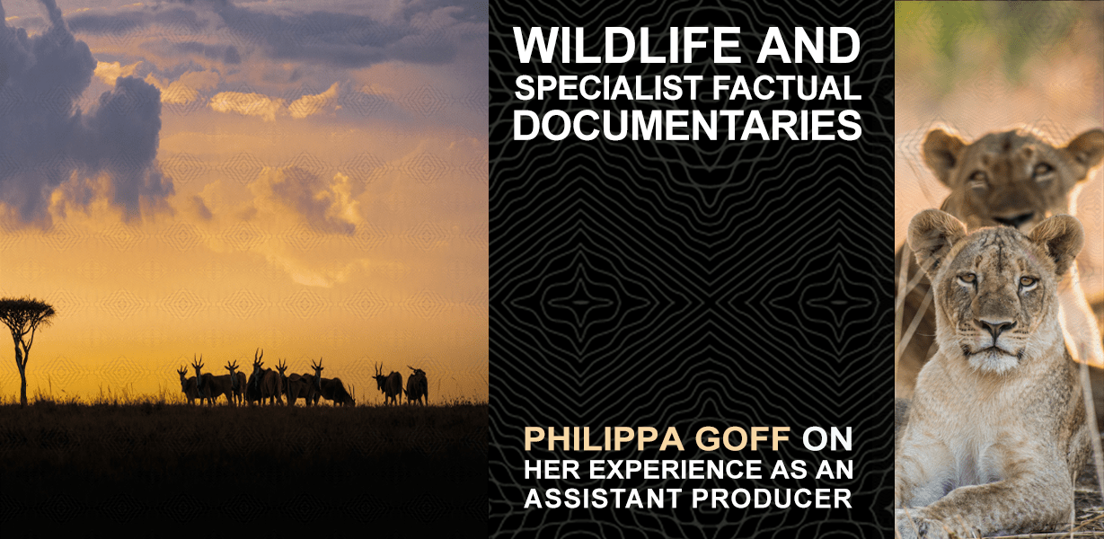 Blog banner written 'Wildlife and specialist factual documentaries: Philippa Goff on Her Experience as An Assistant Producer' 