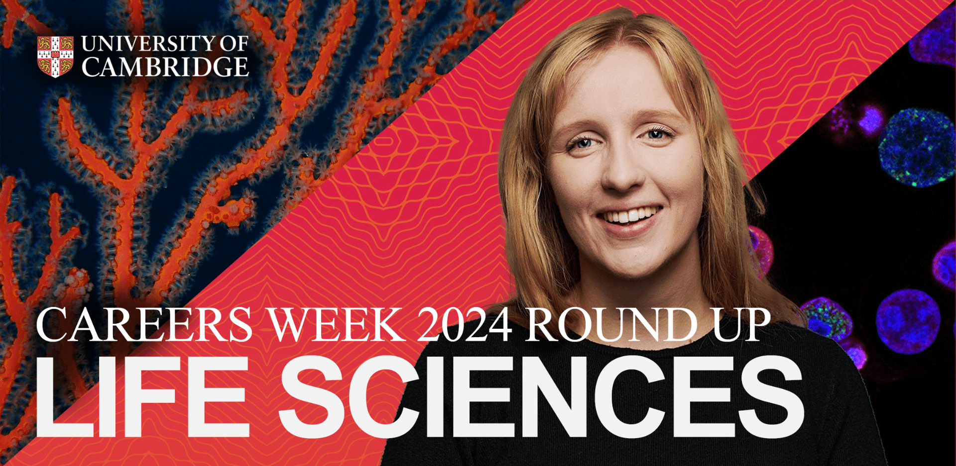 A banner written 'Careers Week 2024 Round Up Life Sciences'